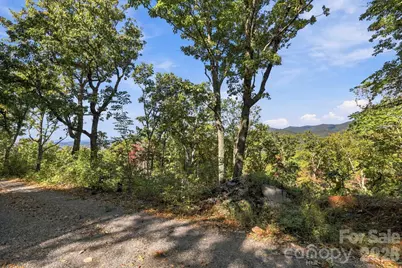 99999 Harrison Hill Road, Swannanoa, NC 28778 - Photo 3