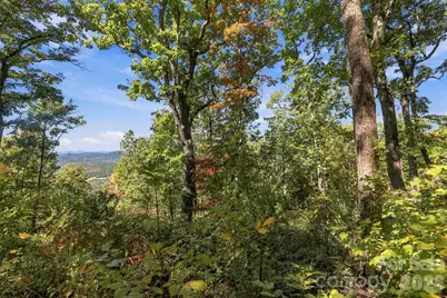 99999 Harrison Hill Road, Swannanoa, NC 28778 - Photo 5