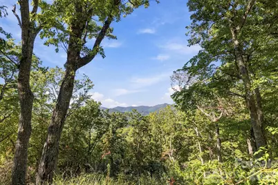 99999 Harrison Hill Road, Swannanoa, NC 28778 - Photo 1