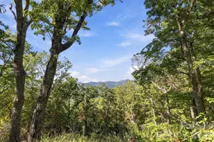99999 Harrison Hill Rd, Swannanoa, NC 28778 - Photo 1