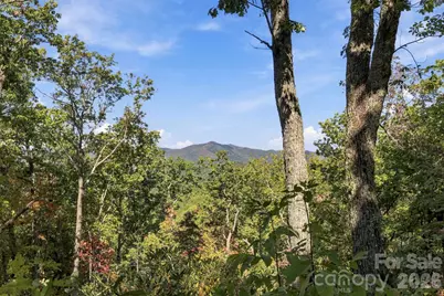 99999 Harrison Hill Road, Swannanoa, NC 28778 - Photo 7