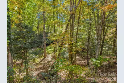 396 Patton Mountain Road, Pisgah Forest, NC 28768 - Photo 21