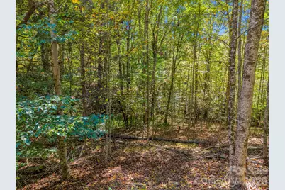 396 Patton Mountain Road, Pisgah Forest, NC 28768 - Photo 17