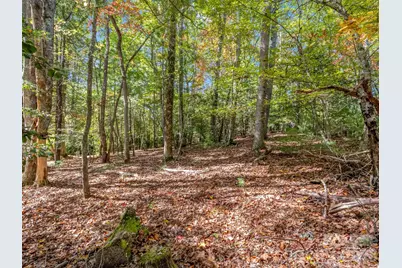 396 Patton Mountain Road, Pisgah Forest, NC 28768 - Photo 29