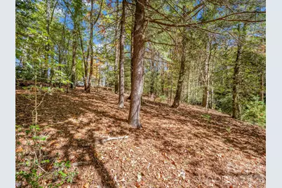 396 Patton Mountain Road, Pisgah Forest, NC 28768 - Photo 9