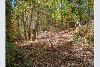 396 Patton Mountain Road, Pisgah Forest, NC 28768 - Photo 27