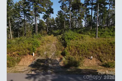 3038 Jumping Run, Connelly Springs, NC 28612 - Photo 3