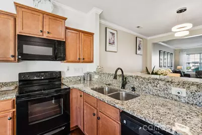 248 Halton Crossing Drive, Concord, NC 28027 - Photo 13