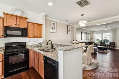 248 Halton Crossing Drive, Concord, NC 28027 - Photo 11