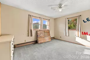 900 Prices Creek Rd, Burnsville, NC 28714 - Photo 17