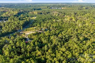 1598 Marks Creek Church Rd, Laurel Hill, NC 28351 - Photo 35