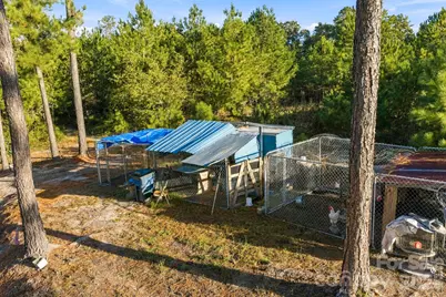 1598 Marks Creek Church Road, Laurel Hill, NC 28351 - Photo 31