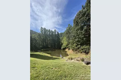 200 Ladys Fern Trail, Laurel Park, NC 28739 - Photo 3