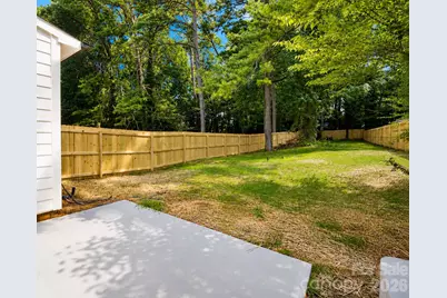 3314 Campbell Drive, Charlotte, NC 28205 - Photo 29
