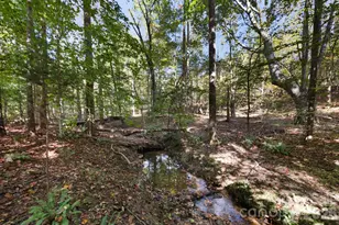 926 Cross Creek Dr, Rutherfordton, NC 28139 - Photo 41