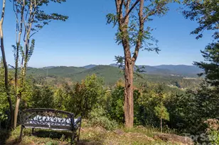 298 Summit Pkwy, Bostic, NC 28018 - Photo 41