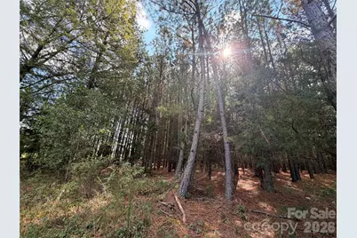 00 Barbees Grove Road #4, Oakboro, NC 28129 - Photo 3