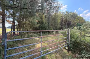 00 Barbees Grove Rd, Oakboro, NC 28129 - Photo 1