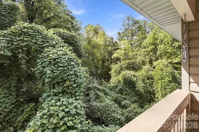 805 Carlyle Way, Asheville, NC 28803 - Photo 13