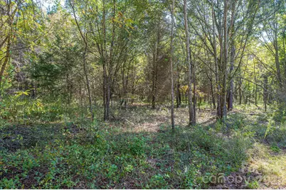 0 Riverview Road, Lincolnton, NC 28092 - Photo 19