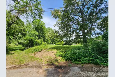 Tbd Rock Hill Place, Asheville, NC 28803 - Photo 17