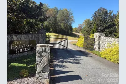 Lot 15 Hickory Loop, Rutherfordton, NC 28139 - Photo 3