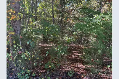 Lot 15 Hickory Loop, Rutherfordton, NC 28139 - Photo 9