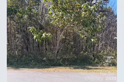 Lot 15 Hickory Loop, Rutherfordton, NC 28139 - Photo 7
