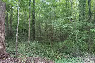 00 Winterhaven Road Rd, Taylorsville, NC 28681 - Photo 1