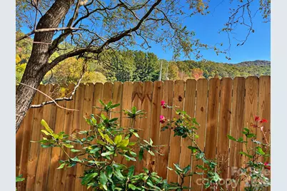 12 Nature Lane, Waynesville, NC 28786 - Photo 9