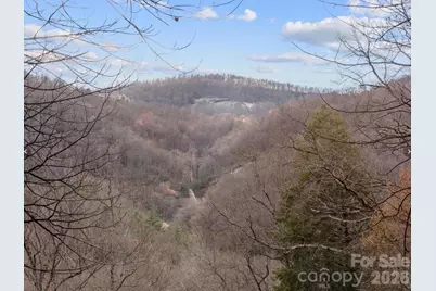 124 Buena Vista Road, Chimney Rock Village, NC 28720 - Photo 17