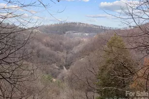 124 Buena Vista Rd, Chimney Rock Village, NC 28720 - Photo 17