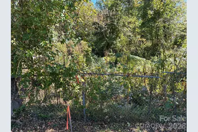 233 Oakview Road, Asheville, NC 28806 - Photo 9