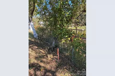 233 Oakview Road, Asheville, NC 28806 - Photo 11