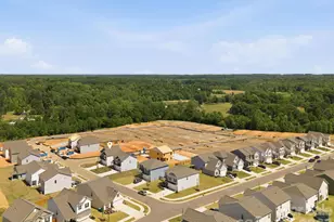 5607 Hagler Loop, Catawba, NC 28609 - Photo 33