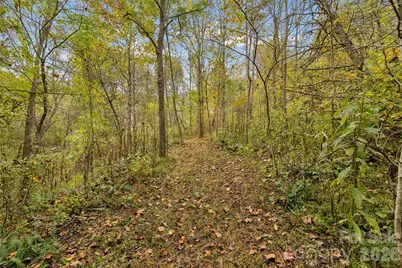 0 Kims Cove Road, Canton, NC 28716 - Photo 31
