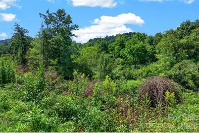 0 Kims Cove Road, Canton, NC 28716 - Photo 17
