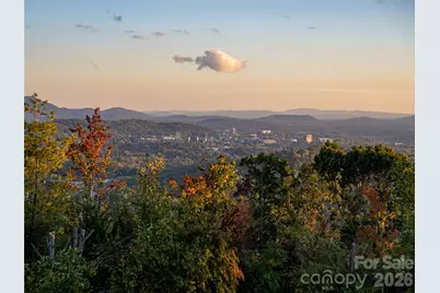 637 Altamont View, Asheville, NC 28804 - Photo 21