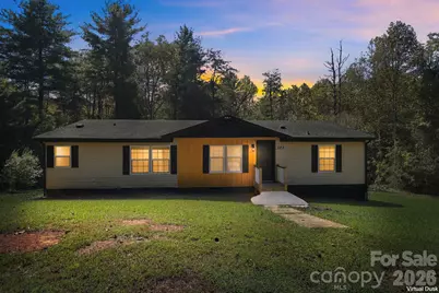 323 Dogwood Road, Candler, NC 28715 - Photo 1