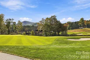 407 Crescent Moon Ln, Cashiers, NC 28717 - Photo 47