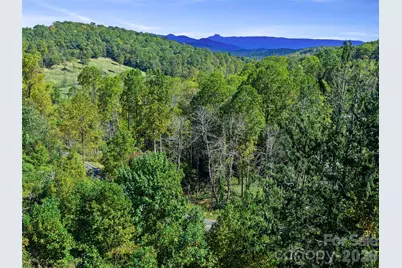 Tbd Chestnut Grove Road, Spruce Pine, NC 28777 - Photo 9