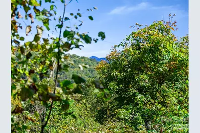 Tbd Chestnut Grove Road, Spruce Pine, NC 28777 - Photo 27