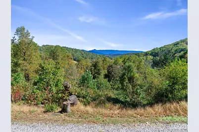 Tbd Chestnut Grove Road, Spruce Pine, NC 28777 - Photo 23