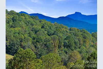 Tbd Chestnut Grove Road, Spruce Pine, NC 28777 - Photo 1