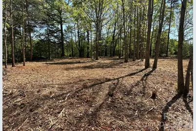 00 Stikeleather Road #Lot 1, Hiddenite, NC 28636 - Photo 3