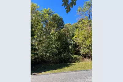 0000 Ladys Fern Trail, Hendersonville, NC 28739 - Photo 9