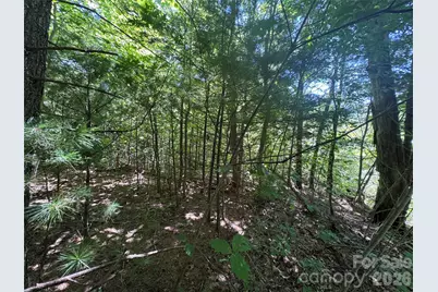 401 Â± Upper Flat Creek Road, Weaverville, NC 28787 - Photo 35