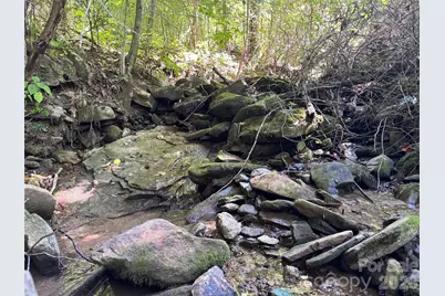 401 Â± Upper Flat Creek Road, Weaverville, NC 28787 - Photo 33