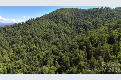 401 Â± Upper Flat Creek Road, Weaverville, NC 28787 - Photo 27