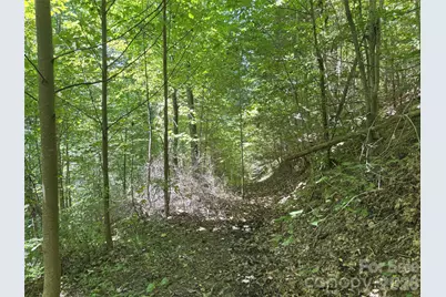 401 Â± Upper Flat Creek Road, Weaverville, NC 28787 - Photo 23